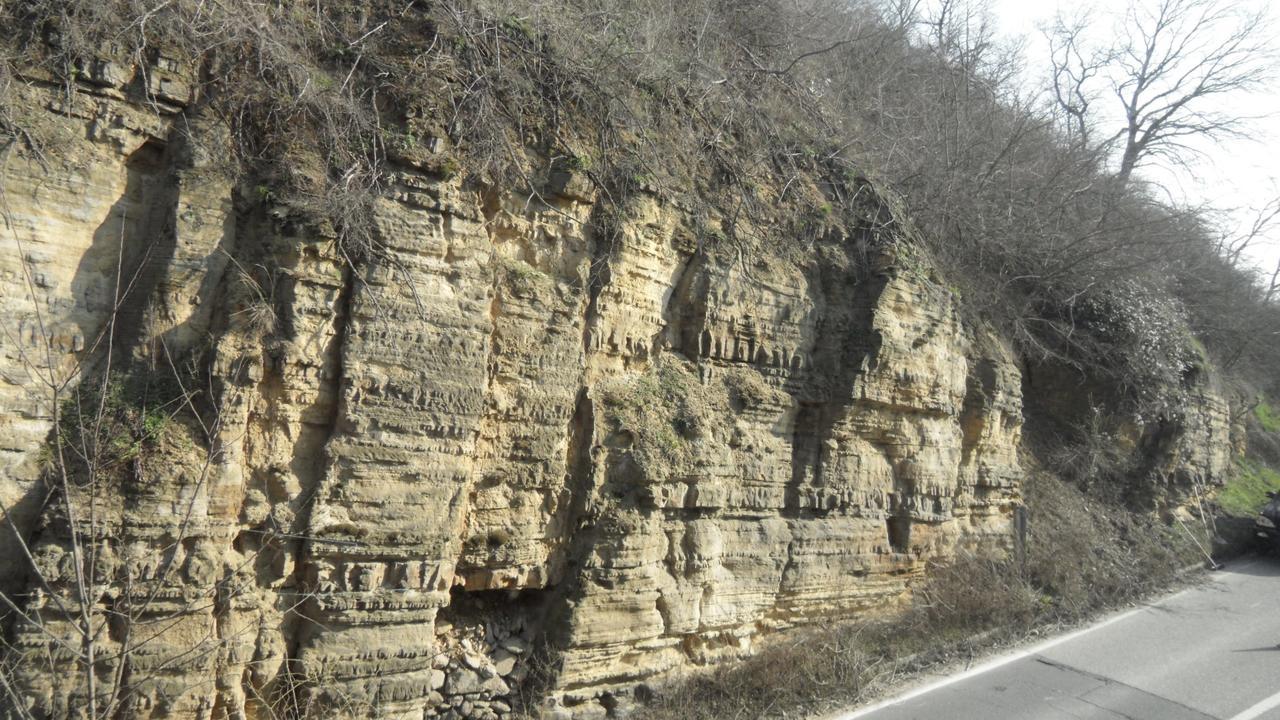 Gastehaus Felsenmuhle Im Tal Ξενοδοχείο Neuleiningen Εξωτερικό φωτογραφία