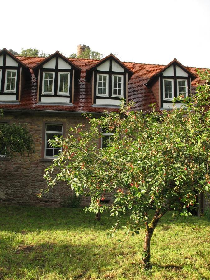 Gastehaus Felsenmuhle Im Tal Ξενοδοχείο Neuleiningen Δωμάτιο φωτογραφία